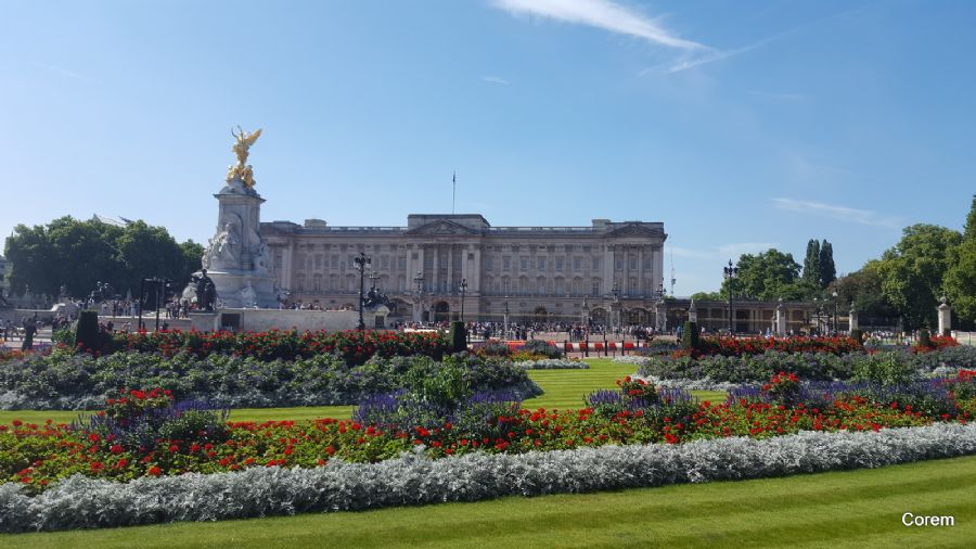 ארמון בקהינגהם